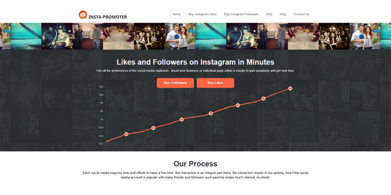 Insta Promoter Review and Alternatives