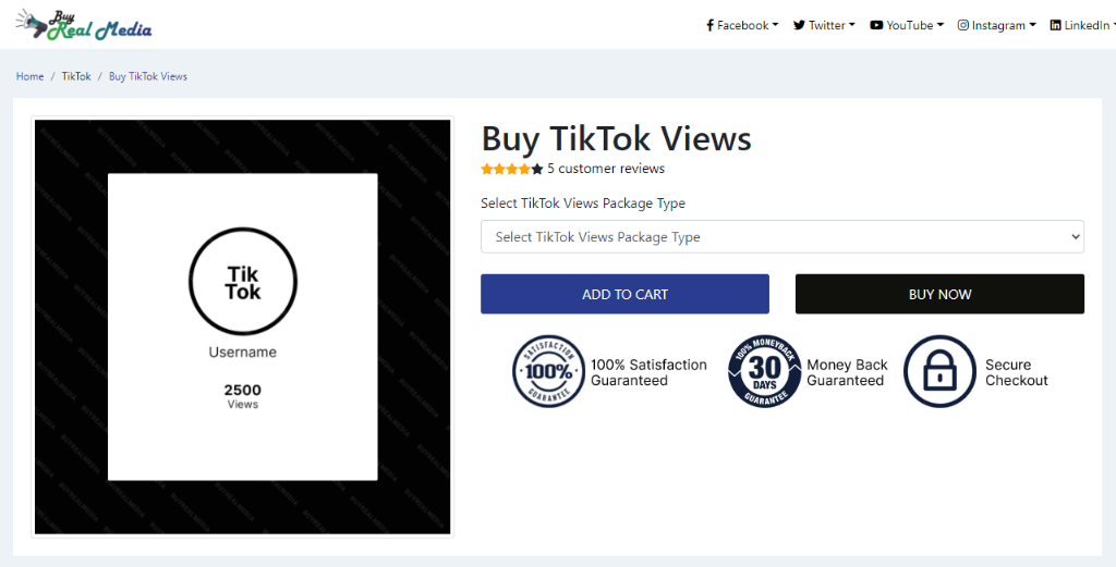 Buy Real Media TikTok Views