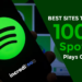 Best Sites to Buy 1000 Spotify Plays Cheap