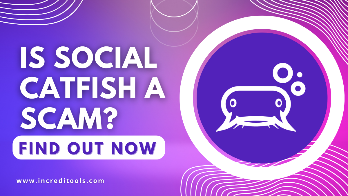 Is Social Catfish a Scam
